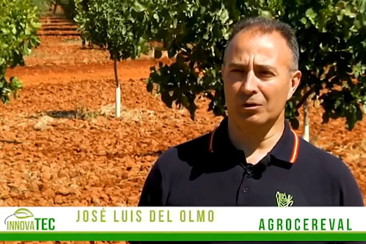 José Luis Del Olmo. Agrocereval.