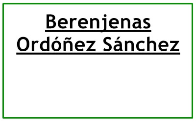 Berenjenas Ordoñez Sánchez